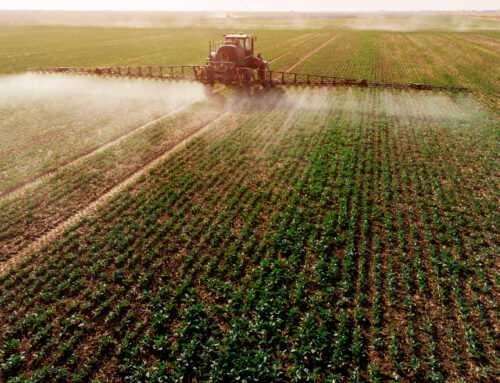Les pesticides et la santé des paysans : quoi faire ?