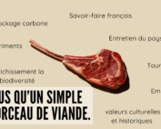 morceau de viande avec tous ses co-bénéfices