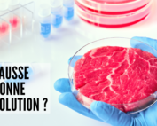 Viande artificielle créée en laboratoire problème