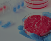 Viande cultivée boîte de Petri