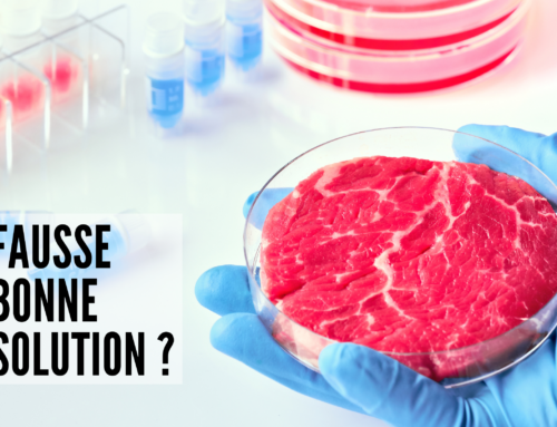 La « viande » en laboratoire pose plus de problème qu’elle n’en résout.